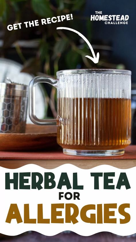 This herbal allergy tea recipe is packed with natural remedies to soothe seasonal allergies. The blend of nettle, licorice, mullein, red clover, peppermint, and ginger offers anti-inflammatory, decongestant, and antihistamine properties. Brew 2 tablespoons of the tea blend with 1.5 cups of hot water and enjoy the delicious and beneficial tea up to 3 times a day. Caffeine-free! Store in an airtight container for up to 6 months. Add honey and lemon for additional health benefits. Nettle Tea Recipe, Teas For Colds, Allergy Tea, Natural Face Masks, Tea For Colds, Cold Or Allergies, Natural Remedies For Allergies, Natural Face Mask, Red Clover