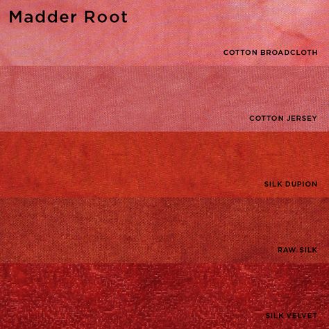 Natural Dyes (from plants and insects) - Madder Root                                                                                                                                                                                 More Dyers Garden, Madder Plant, Dye Garden, Diy Dye, Textile Dyeing, Natural Dye Fabric, Madder Root, Eco Dyeing, Tie Dye Crafts