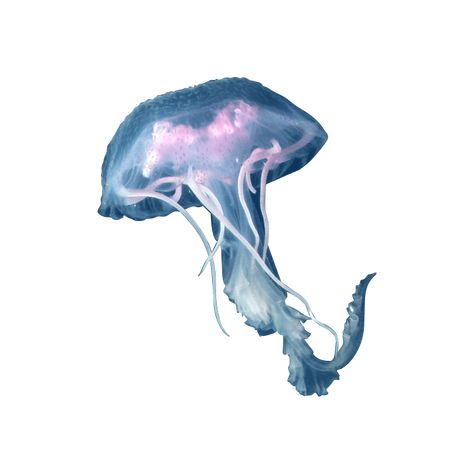 Sea Icons Png, Jellyfish Png Aesthetic, Oceancore Widgets, Ocean Carrd Png, Sea Png Aesthetic, Sea Life Icons, Ocean Png Aesthetic, App Icons Jellyfish, Jellyfish Icon Aesthetic