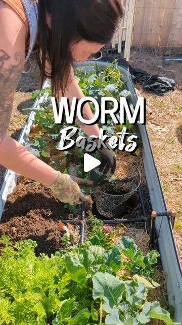 Vanessa Minton on Instagram: "EZ DIY Composting in your garden beds! . I'm not the first person to do this technique but I do have successful worm farms in other beds! So I think everyone should be doing this to attract more worm action in your garden beds! . I've seen someone using an irrigation manifold cover and compostable bags that they froze of scraps and that was very manageable with critters because the manifold was open on the bottoms but sealed shut well on the top! . So take this post as inspiration to figure out what works best for you. No matter what, you should be composting and passive worm composting is a great place to start! . I used a heavy plate and a dollar tree mesh trash can but you can also drill holes in a terracotta pot and place a saucer on top. Just make su Easy Garden Beds, Diy Compost, Diy Garden Bed, Worm Composting, Vegetable Garden Diy, Worm Farm, Raised Garden Beds Diy, Gardening Hacks, Garden Compost