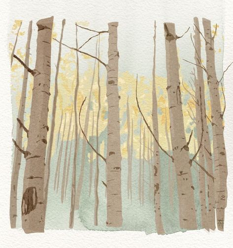 Tree Forest Illustration, Birch Tree Illustration, Birch Tree Forest, Forest Drawing, Color Script, Winter Illustration, Forest Illustration, Aspen Trees, Forest Painting