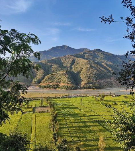 Beautiful View of Tamakoshi and Rice farming in Manthali, Ramechhap. Pic. @rojesh_thapa Rice Farm Aesthetic, Rice Aesthetic, Rice Farm, Rice Farming, Nepali Culture, Princess Protection Program, Farm Aesthetic, Life Aesthetic, Beautiful View