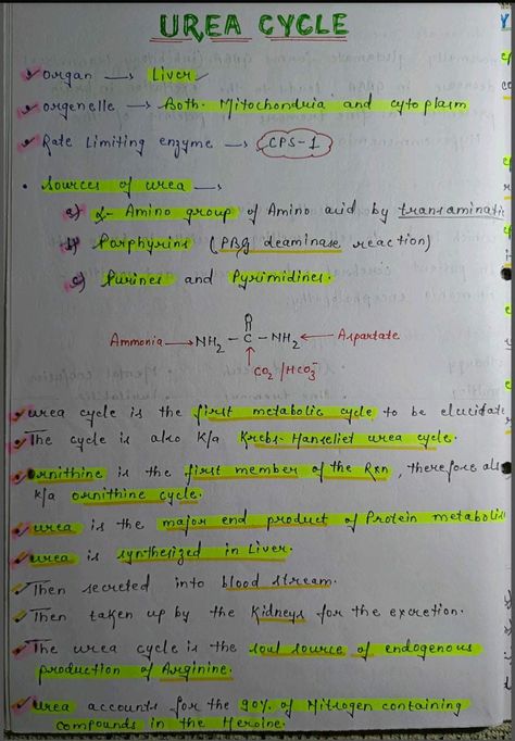 #mbbs #handwritten #notes #neet #medicalstudent #biochemistry #neetexam #physiology #medicine #anatomy #mbbs  #surgery #doctor #medical #medicine #medico #doctors #mbbsstudent #mbbslife #medstudent Mbbs Notes, Neet Biology Mind Maps, Neet Notes Biology Class 12, Mbbs 1st Year Anatomy Notes, Living World Class 11 Notes Neet, Biotechnology Notes Class 12, Class 12 Biology Notes Neet, Urea Cycle, Biochemistry Notes