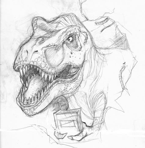 Lup Singuratic, Dino Drawing, Dinosaur Sketch, Dinosaur Drawing, Dinosaur Illustration, Paleo Art, Dinosaur Art, A Dinosaur, Art Drawings Sketches Creative