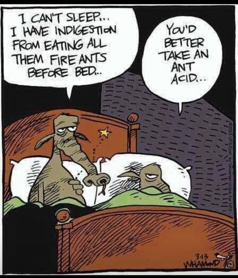 Antacid. Laugh Cartoon, Funny Cartoon Pictures, Funny Cartoons Jokes, Funny Work Jokes, Funny Quotes Sarcasm, Work Jokes, Funny Cartoon Quotes, Cartoon Jokes, Ecards Funny