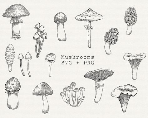 Small Mushroom Tattoo Ideas, Line Art Mushroom, Mushroom Line Art, Mushroom Vector, Mushroom Svg, Mushroom Illustration, Mushroom Clipart, Mushroom Images, Art Mushroom