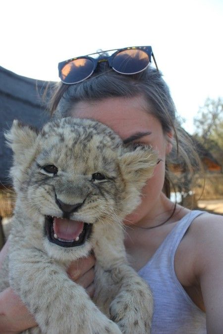 Animal Volunteering Aesthetic, Volunteering Aesthetic Animals, Wild Life Biologist, South Africa Volunteering, Animal Volunteer Aesthetic, Wildlife Conservation Aesthetic, Volunteering Animals, Wild Animals As Pets, Volunteering Aesthetic