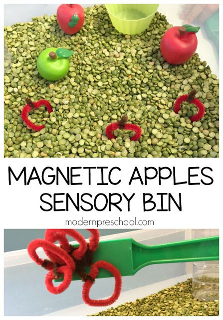 Apple Sensory, Modern Preschool, Preschool Apples, Preschool Apple Theme, Sensory Tables, September Preschool, Fall Sensory Bin, Fall Sensory, Preschool Sensory