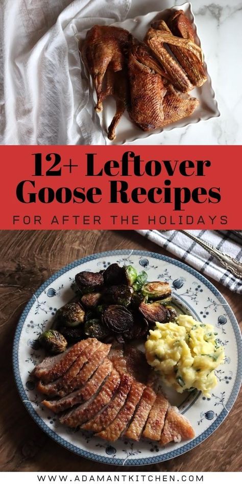 20+ Leftover Goose Recipes Wild Duck Recipes, Cooked Goose, Zero Waste Food, Goose Recipes, Deer Meat Recipes, Wild Goose, Healthy Brunch, Fall Recipes Healthy, Fast Healthy Meals