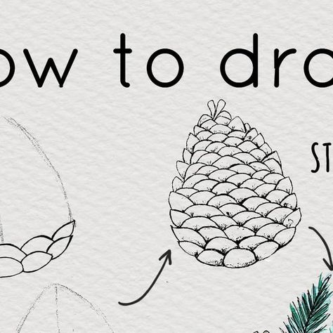 Anastasia Sälinger on Instagram: "How to draw a pine cone in four easy steps ⬇️  Step 1: Let's start with an egg shape (sketch it lightly with a pencil). Step 2: Now fill your pine cone with cone scales. Start at the bottom and draw them in an alternating pattern. Step 3: Add some shading to the overlapping areas to give it depth. Step 4: Finish your pine cone by adding a few berries and pine branches.   Enjoy and have fun drawing! 💕 . . . #howtodraw #drawingoftheday #stepbystep #learntodraw #watercolorforbeginners #watercoloursketch #sketching #easyart #zeichnenlernen #drawingthings #instadrawing #instaart #watercolorbeginner #drawingstepbystep #instadrawing #easydrawing #drawingstepbystep #drawingflowers #drawingguide" Pine Cone Drawing, Shape Sketch, Dyi Art, Sketch It, Paintings Tutorials, Ornament Drawing, Watercolor Beginner, Pine Branches, Watercolor Paintings Tutorials