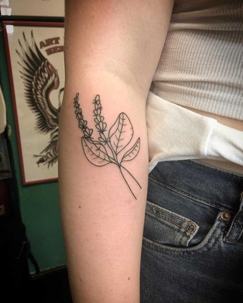 Heather and Basil as an homage to the grandpa by Kirk Budden inked on the right forearm Basil Tattoo, Related Tattoos, Heather Plant, Basil Leaf, Beautiful Flower Tattoos, Plant Tattoo, Fairy Tattoo, Praying Mantis, Subtle Tattoos