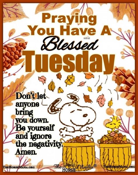 Tuesday Snoopy, Snoopy Tuesday, Snoopy October, Morning Tuesday, Good Morning Snoopy, Good Morning Tuesday, Tuesday Quotes, Tuesday Afternoon, Snoopy Images