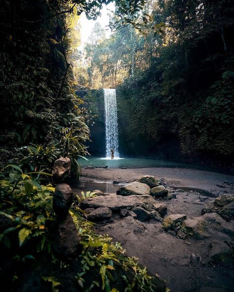 Have you been to Tibumana Waterfall yet? With an easy walk down and a beautiful swimming spot at the bottom, Tibumana Waterfall Bali is one… Tibumana Waterfall, World Clipart, Whatsapp Text, Mountain Waterfall, Bali Travel Guide, Bali Island, Beautiful Waterfalls, Bali Travel, Outdoor Shower