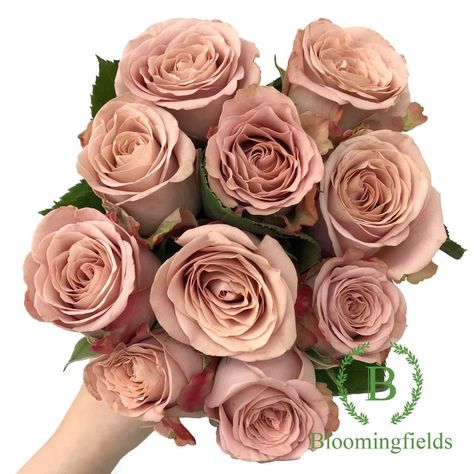 Cappuccino Rose, Instagram Roses, Flower Inspiration, Wedding Flower Inspiration, Brown Shades, Wholesale Flowers, Wedding Design, Wedding Flower, Cappuccino