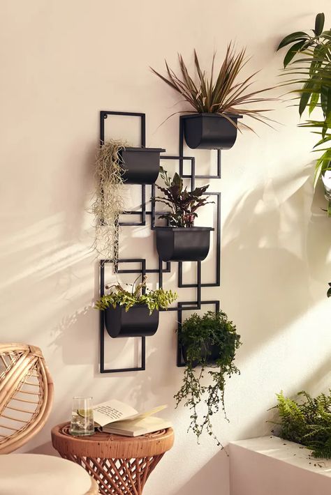 Plant wall diy