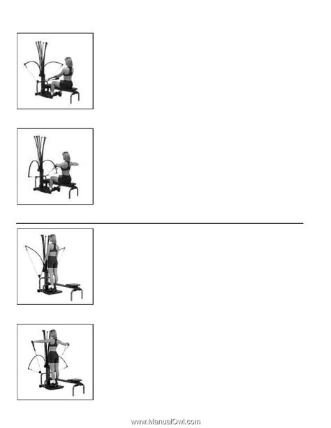 Table Of Contents - exercises | Bowflex Power Pro | Owners Manual (Page 2) Bowflex Workout, Lying Leg Curls, Seated Leg Curl, Abdominal Crunch, Reverse Curls, Concentration Curls, Shoulder Raises, Piriformis Muscle, Oblique Crunches