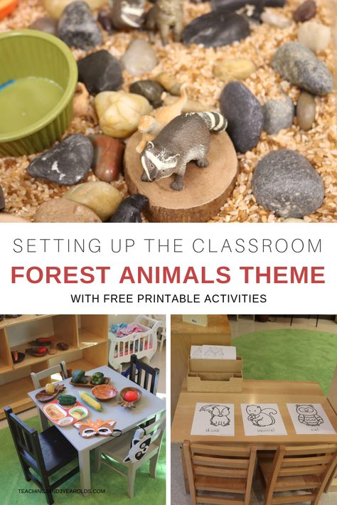 Creating a forest animals theme encourage our toddlers and preschoolers to become engaged in lots of hands-on activities. There are multiple sets of printables provided, too, that can be used in the classroom or homeschool. Camping Nursery Theme, Forest Animals Preschool, Forest Animal Crafts, Forest Preschool, Forest Animals Theme, Animals Preschool, Animal Lessons, Toddler Themes, Forest Animal Nursery