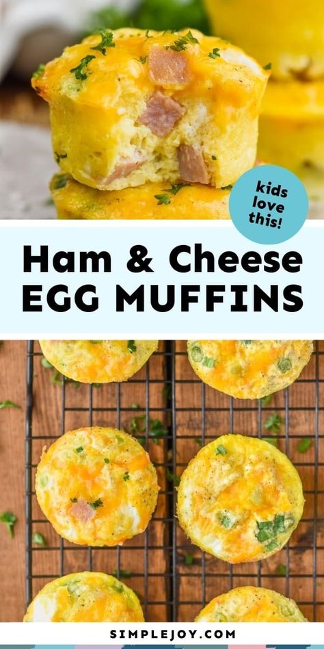 Ham and Cheese Egg Muffins (Easy to freeze and reheat!) - Simple Joy Cupcake Tin Eggs, Ham Egg And Cheese Cups, Ham And Egg Muffin Cups, Ham And Cheese Egg Muffins, Healthy Egg Muffins, Breakfasts On The Go, Easy Egg Breakfast, Egg Muffins Healthy, Easy Yummy Breakfast