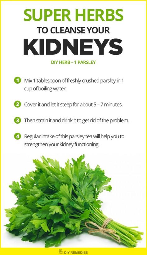 Parsley Tea, Natural Diuretic, Kidney Cleanse, Smoothie Detox, Natural Colon Cleanse, Herbs For Health, Kidney Health, Healing Food, Natural Health Remedies