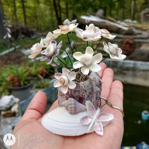 This miniature flower arrangement is filled with small coquina flowers! Each flower is adorned with a small snail in the center! Follow the link to my Etsy shop to see more & make sure you ♥️👍follow along so you don't miss anything! Sea Inspired Art, Seashell Creations, Beautiful Seashells, Seashell Art Diy, Seashell Projects, Shell Flowers, Miniature Flowers, Shell Decorations, Shell Crafts Diy