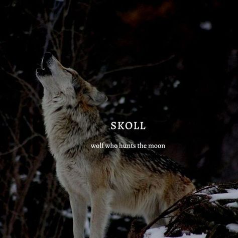 Viking Last Names, Male Viking Names, Norse Names And Meanings, Names That Mean Wolf, Fantasy Male Names, Norse Names, Viking Names, Oc Names, Mystical Names