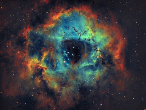 Nebula Photography, Rosette Nebula, Outer Space Pictures, Astronomy Photography, Galaxy Photos, Aesthetic Galaxy, James Webb Space Telescope, Sky Full Of Stars, Space Images