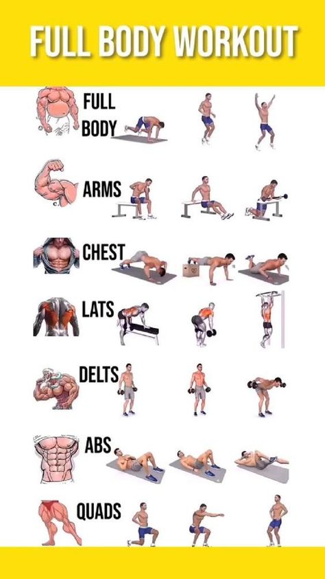 Daily Full Body Workout, Gym Workout Apps, Full Body Workout Plan, Workout Daily, Workout Man, Latihan Dada, Full Body Workout Routine, Full Body Workout At Home, Workout Abs