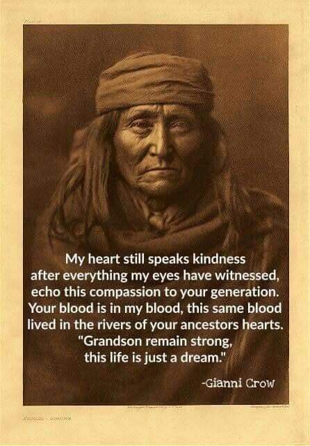 Native American Quotes Wisdom, Native American Facts, Native Quotes, American Indian Quotes, Indian Proverbs, Native American Prayers, Native American Spirituality, Indian Quotes, Native American Wisdom