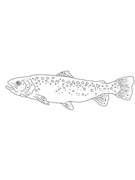 Trout Drawing Simple, Simple Trout Tattoo, Rainbow Trout Tattoo, Trout Tattoo, Rainbow Trout, Tiny Tattoos, Simple Tattoos, Small Tattoos, Tattoos For Guys