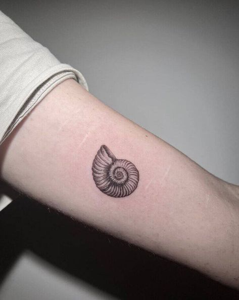 Shell Tattoo Meanings And 25 Jaw-Dropping Design Ideas 8 Nautilus Tattoo Shell, Mollusk Tattoo, Nautilus Shell Tattoo, Nautilus Tattoo, Shell Tattoo, Shell Tattoos, Tattoo Meanings, Spiral Shell, Hand Poked Tattoo