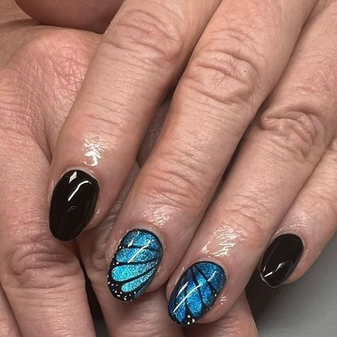 Krystal on Instagram: "Cat eye butterflies 🦋  #cateye #cateyenails #bluenails #blacknails #almondnails #explorepage #butterflynails #cateyenailart #viral #nailtrends" Cats Eye Gel Nail Designs, Cat Eye Nails With Design, Cat Eye Nails Short, Cat Eye Effect Nails, Cat Eye Nail Designs, Cateye Nails, Witchy Nails, 2024 Nails, Eye Nails