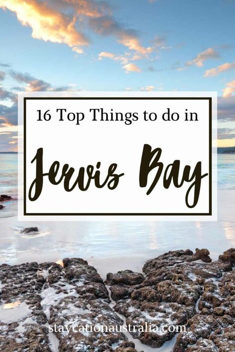 16 Top Things to Do in Jervis Bay in 2024 - Staycation Australia Batemans Bay Australia, Healing Sounds, Batemans Bay, Jervis Bay, Sunset Cruise, Bike Tour, Crystal Clear Water, Whale Watching, White Sand Beach