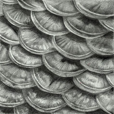 scales Fish Texture Drawing, Scales Texture Drawing, Fish Scale Drawing, Fish Scales Drawing, Texture Drawings, Scales Drawing, Murmuration Art, God Creation, Awakening Soul