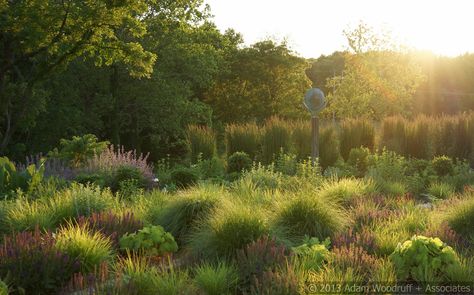 Jones Road | Flickr - Photo Sharing! Jones Road, Design Inspo, Landscape Design, Landscaping, Photo Sharing, Country Roads, Road, Plants, Design