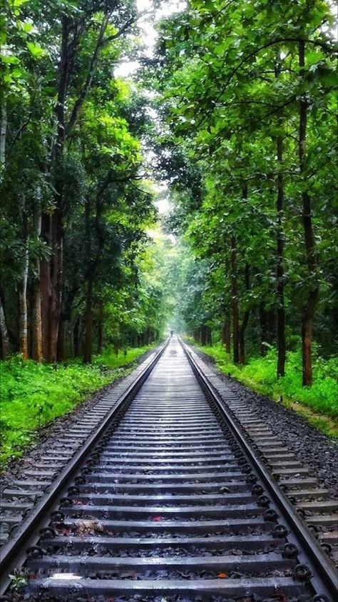 Railroad Track Pictures, Train Tracks Photography, Photography Perspective, Track Pictures, Kerala Travel, Street Magic, Photoshop Digital Background, Scenic Railroads, Beach Background Images