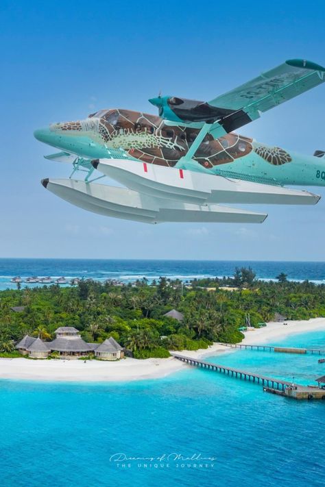 Flying Turtle seaplane maldives Six Senses Laamu' Seaplane Maldives, Six Senses Laamu, Flying Turtle, Sea Plane, Six Senses, Visit Maldives, Aviation World, Maldives Resort, Arabian Sea