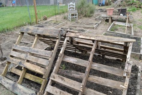 Lean the pallets together in a triangle Pallet Greenhouse Diy How To Make, Pallet Greenhouse, What Is A Conservatory, Rustic Greenhouses, Homemade Greenhouse, Simple Greenhouse, Greenhouse Diy, Cheap Greenhouse, Modern Greenhouses