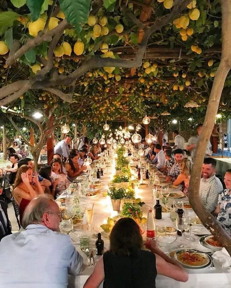 Outdoor restaurant in Italy, Covered by lemon plants and lemon Lemon Plant, Lemon Trees, Lemon Grove, Capri Italy, Italian Dinner, Outdoor Restaurant, Long Table, Lemon Tree, Cheap Decor