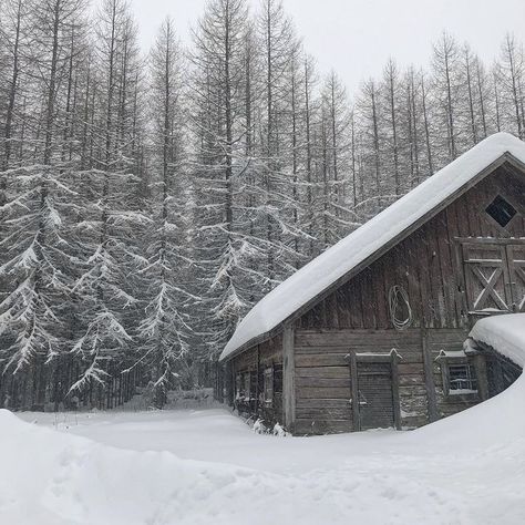 Cottage In Snow Aesthetic, Snowed In Cabin Aesthetic, Winter Aesthetic Cabin, Snowy Cozy Aesthetic, Snowy Cabin In The Woods Aesthetic, Snow Cottage Aesthetic, Snowy Cottage Aesthetic, Snow Lodge Aesthetic, Forest Snow Aesthetic