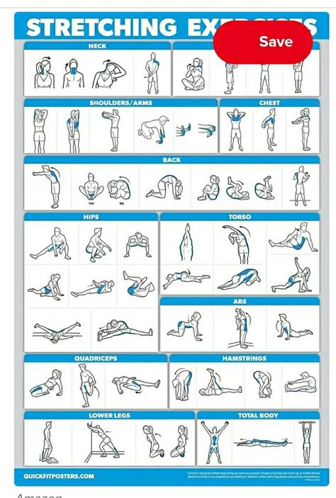 Best Yoga For Beginners, Body Muscle Anatomy, Seated Yoga, Boxing Training Workout, Gym Workout Plan For Women, Yoga Routine For Beginners, Workout Plan For Women, Self Care Bullet Journal, Workout Chart