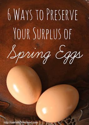 6 ways to preserve a surplus of spring eggs Dehydrating Eggs, Preserving Eggs, Storing Eggs, Freezing Eggs, Chicken Farming, Backyard Chicken Farming, Chicken Health, Laying Hens, Farm Eggs