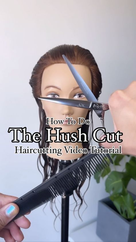 Justin Toves-Vincilione | The Hush Cut ✂️ Educational Video Tutorial . Here’s a step by step on this beautiful combination layered haircut!! This cut is perfect for… | Instagram How To Cut Hush Cut, Hush Cut Short Tutorial, Hush Haircut Tutorial, Hug Cut Hairstyle, Hush Haircut Short, Hush Cut Tutorial, Pixie Bob For Fine Hair, Fine Hair With Layers, Hush Cut Hair Short