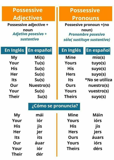 Spanish Possessive Adjectives, Beginner Spanish Lessons, Spanish Adjectives, Useful Spanish Phrases, Spanish Words For Beginners, Basic Spanish Words, Possessive Adjectives, Spanish Lessons For Kids, English Learning Books