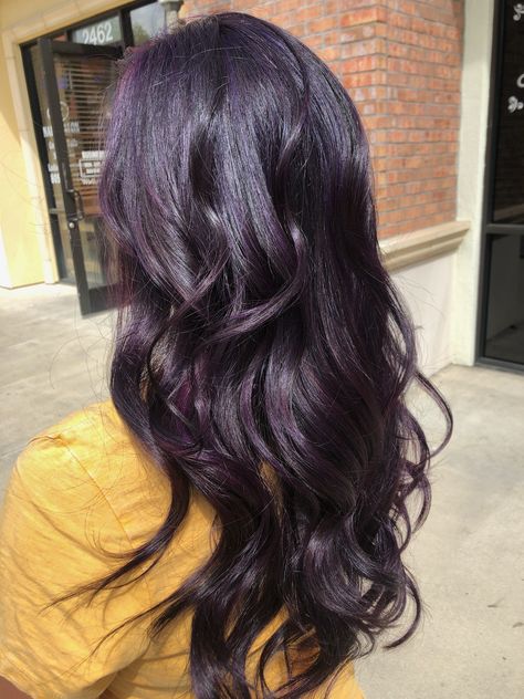 #darkpurple#longhair#purple#blackberry#hairstyle Blackberry Hair Colour With Highlights, Black Violet Hair Color, Black Hair With Purple Tint, Deep Purple Highlights, Plum Black Hair, Blackberry Aesthetic, Midnight Purple Hair, Violet Black Hair, Dark Plum Hair