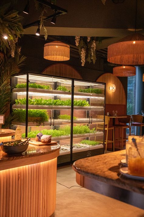 Indoor vertical farm in a cozy restaurant with greens growing inside. Restaurant Interior Ideas, Salad Restaurant Interior, Health Restaurant, Eco Restaurant Design, Indoor Farm, Salad Restaurant Design, Sustainable Restaurant, Salad Cafe Interior, Farm Restaurant Design