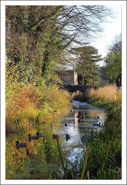 The Cromford Canal ran 14.5 miles (23.3 kilometres) from Cromford to the Erewash Canal in Derbyshire, England with a branch to Pinxton. Built by William Jessop with the assistance of Benjamin Outram, its alignment included four tunnels and 14 locks. Derbyshire England, British Countryside, Peak District, England And Scotland, Places Of Interest, English Countryside, British Isles, Wales England, Landscape Photos