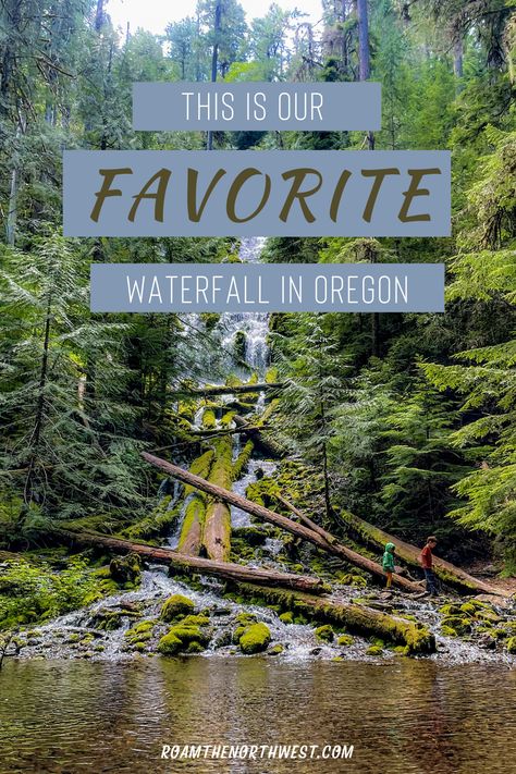 If you're looking for a short but extremely rewarding hike to a pair of waterfalls that couldn't be more different while being right next to each other then check out Proxy Falls. Located along the Mckenzie Pass Highway the falls lie along a short loop hike with the first falls thundering over a ledge and spraying the surrounding basin below. The second set of falls slowly cascade through rocks, logs, and moss into a serene pool that is perfect for taking the time to reflect on nature. Waterfalls In Oregon, Falling Slowly, Oregon Waterfalls, Multnomah Falls, Central Oregon, Beautiful Waterfalls, North West, Oregon, This Is Us