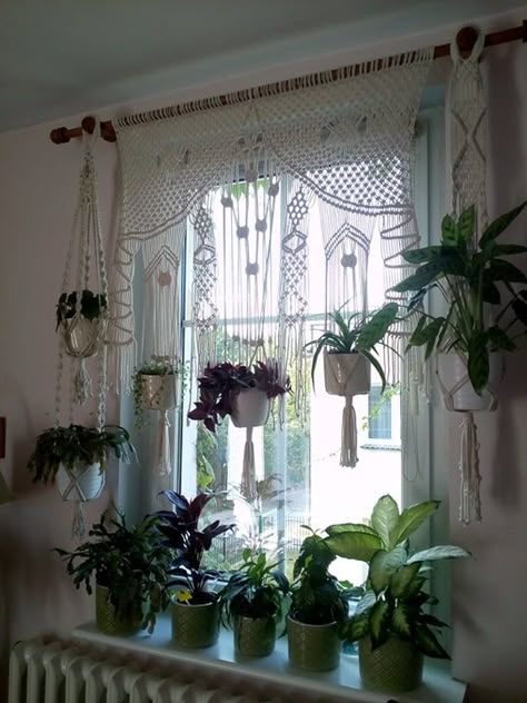 Macrame Plant Curtain, Macrame Curtain Plant Hanger, Groovy Curtains, Driftwood Plant Hanger, Mini Dreamcatcher, Macrame Plant Hanger Tutorial, Plant Window, Window Plants, Macrame Wall Hanging Patterns