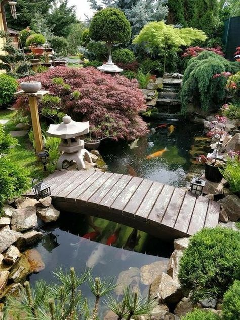 Kolam Koi, Japanese Garden Landscape, Garden Pond Design, Small Pond, Koi Ponds, Japanese Garden Design, Zen Gardens, Pond Ideas, Pond Design