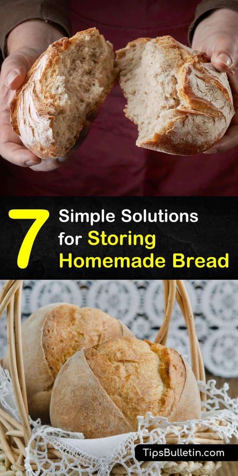 Store Homemade Bread, Artesian Bread, Homemade Bread Dough, Homemade French Bread, Homemade Banana Bread, Bread Soft, Dry Bread, How To Store Bread, Make French Toast